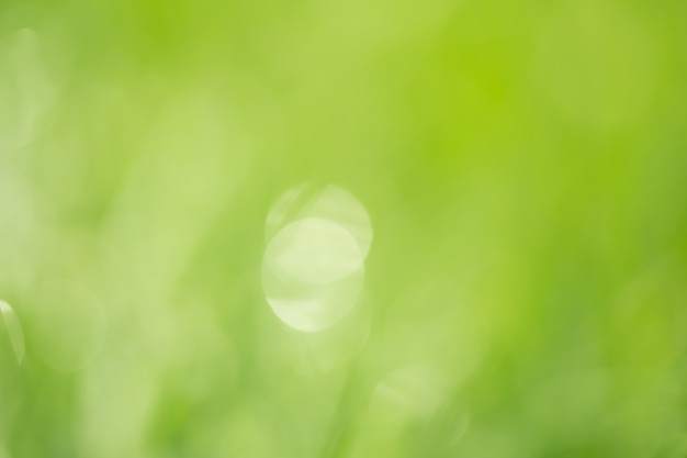 Abstract circular green bokeh background.