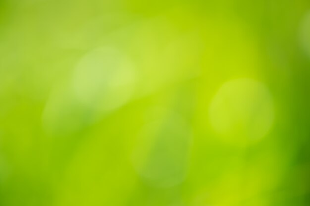 Abstract circular green bokeh background.