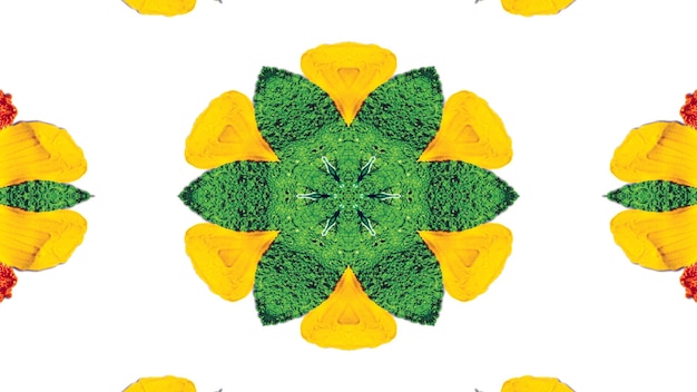 사진 추상 화려한 꽃 식물 개념 대칭 패턴 장식 장식 만화경 운동 기하학적 원과 별 모양