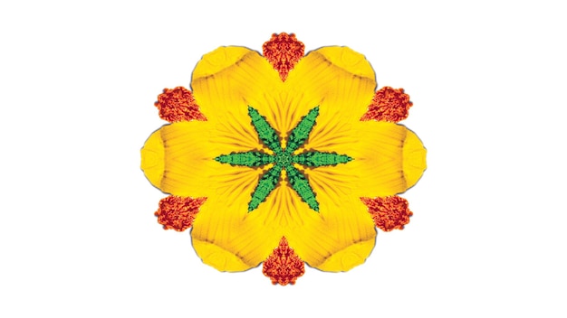 抽象的なカラフルな花フローラコンセプト対称パターン装飾的な装飾的な万華鏡の動き幾何学的な円と星の形