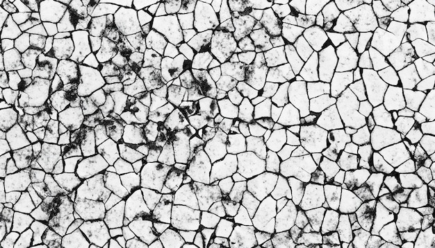 Abstract cracked ground black and white background with texture