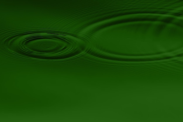 Абстрактная Изогнутая Бумага HD Фон Дизайн Темный Бутон Зеленый