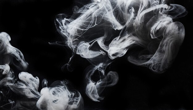 Abstract dark paint in water background. White smoke cloud motion on black, acrylic ink swirl splashes