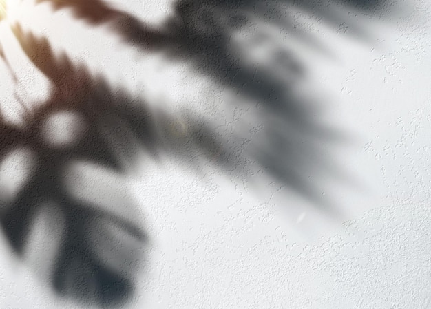 Abstract dark palm leaves shadow on white concrete wall background