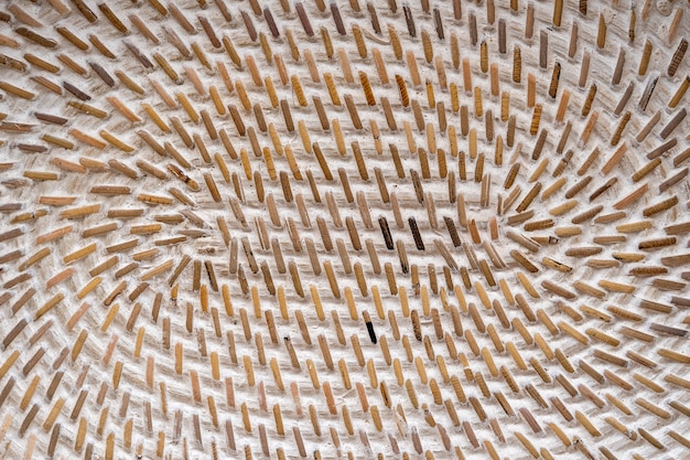 Абстрактное декоративное деревянное текстурированное плетение корзины. Предпосылка текстуры корзины, конец вверх. Абстрактный естественный плетеный горизонтальный фон или текстура