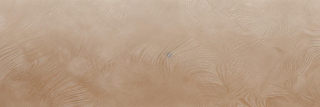 abstract delicate background of a clay fossil print