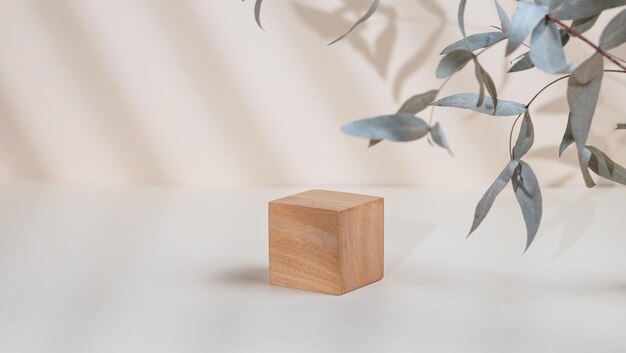 Abstract empty wooden cube with shadows and leaves on a beige background Layout concept for promotional product presentation sale or cosmetics display