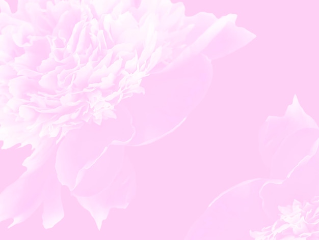 Abstract floral backdrop of pink flowers over pastel colors with soft style for spring or summer time copy space