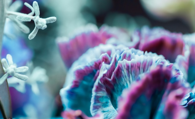 Foto contesto floreale astratto dei fiori di macro del fiore del garofano blu del fondo per il disegno di marca di festa