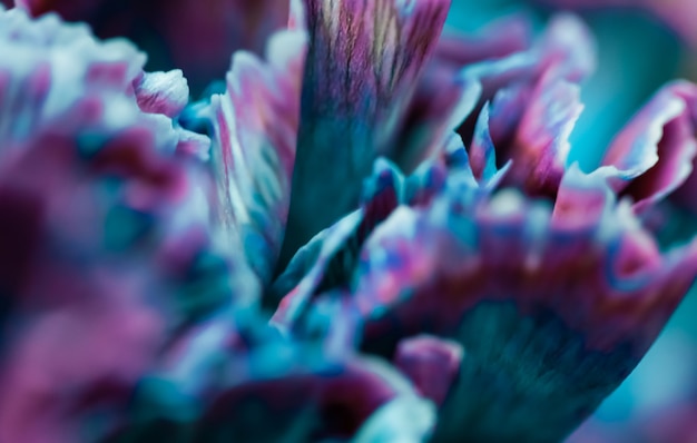 休日のブランドデザインの抽象的な花の背景青いカーネーションの花マクロ花の背景