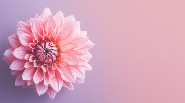 写真 抽象的な花の背景とコピースペース ジェネレーティブai