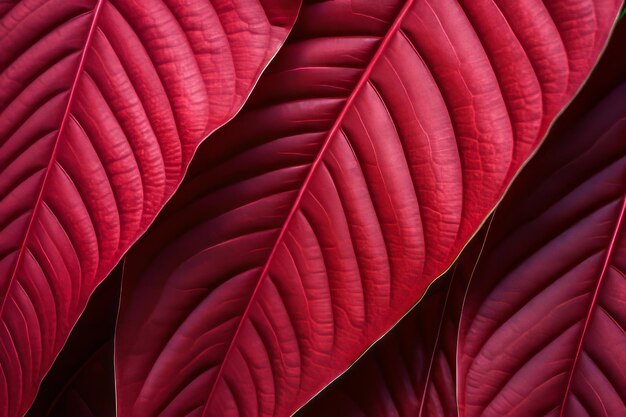 Abstract Foliage Captivating Red Striped Patterns Unveiled with Leaf Textured Background