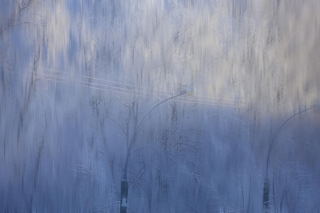 abstract forest blurred winter vertical lines / winter forest background, abstract landscape