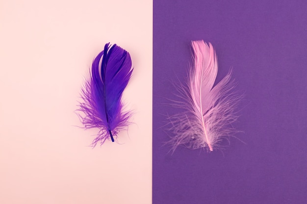 Abstract geometric paper background of pastel pink and purple colors with violet feather.