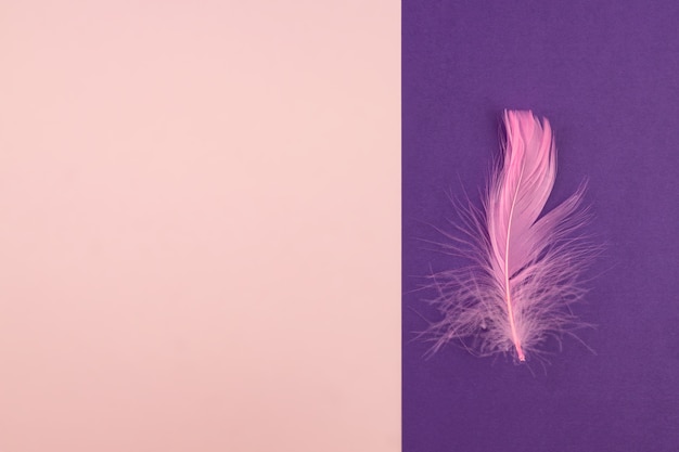 Abstract geometric paper background of pastel pink and purple colors with violet feather.