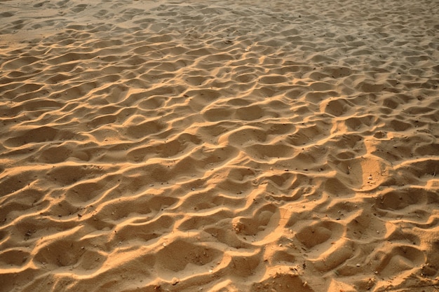 ビーチの抽象的な黄金の砂夏休み休日夏のビーチの背景自然な背景