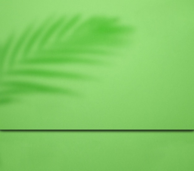 Abstract green background stage for showcasing products cosmetics