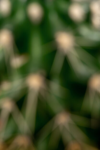 Abstract green blurred background. Defocused natural texture of cactus closeup.