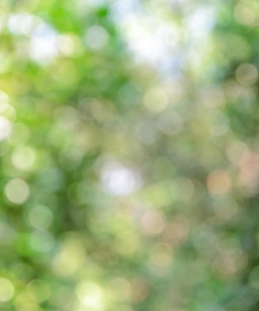 Abstract green bokeh background