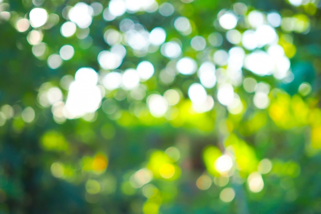 Bokeh verde astratto dal fondo del fuoco dall'albero in natura