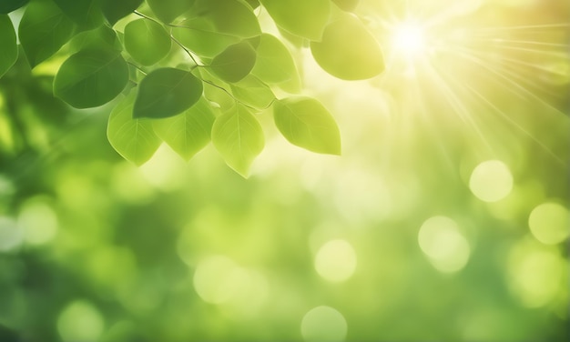 Abstract green foliage bokeh backdrop