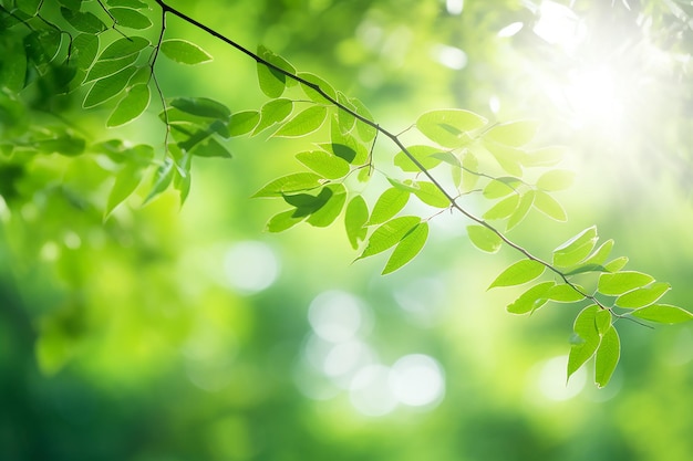 Photo abstract green foliage and trees in jungle