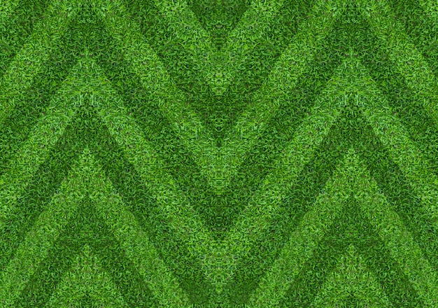 Abstract green grass field background. Green lawn pattern and texture for background.