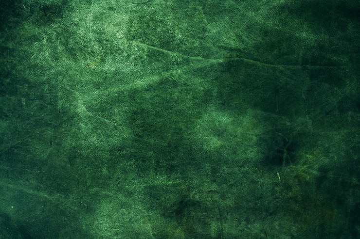 Photo abstract green grunge texture horror background