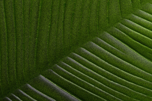 abstract green leaf texture background