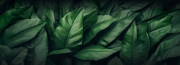 Abstract green leaf texture with nature background tropical leaf generative ai