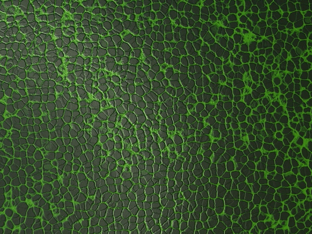 Abstract green leather texture background