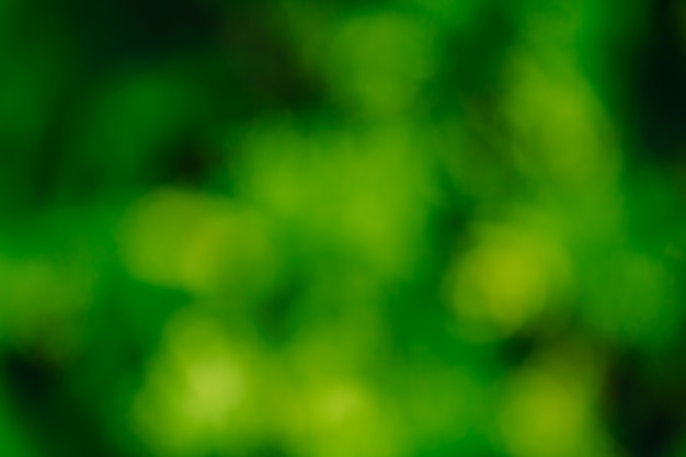 Abstract green nature
