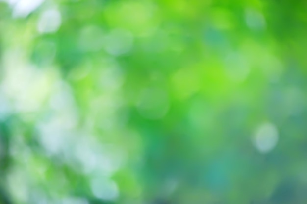 abstract green summer bokeh background, gradient view art texture glow