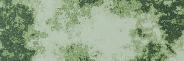 Photo abstract green weathered wall background