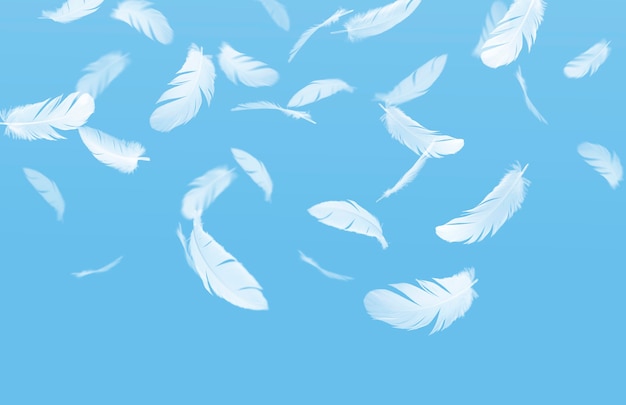 Abstract Group of White Feathers Falling Down in The Sky Feathers Flying