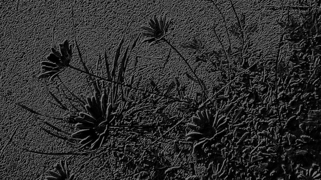 Foto immagine astratta su sfondo nero con linee grigie su tema vegetale