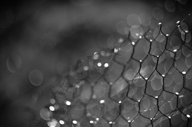 Photo abstract image of wet fishing net