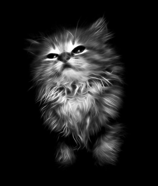 Abstract kitten on black background