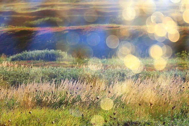 Photo abstract landscape background autumn sun glare defocus bokeh, view sun background