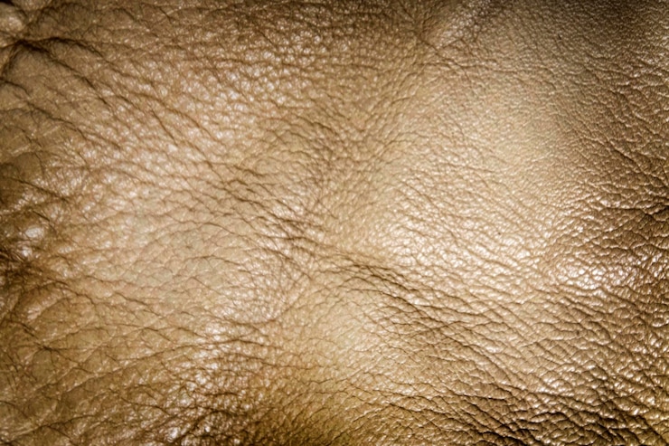 Photo abstract leather texture