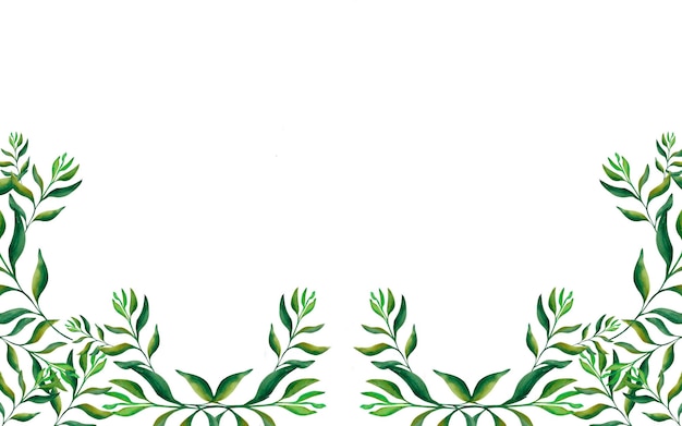 Foto banner di foglie astratte da bellissimi rami verdi su un banner di sfondo bianco per il tuo design