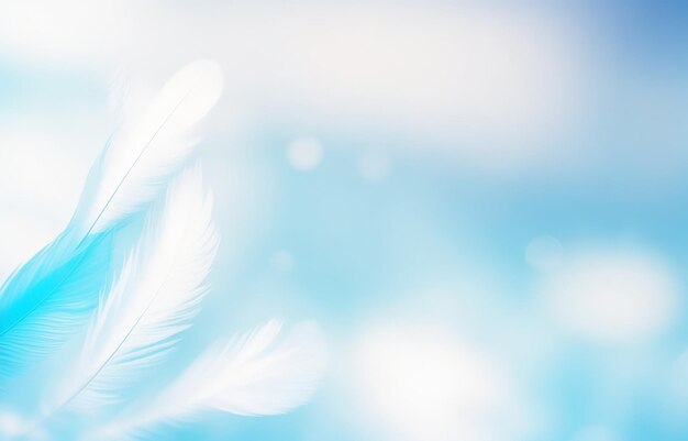 abstract light color soft feather blur bokeh style background