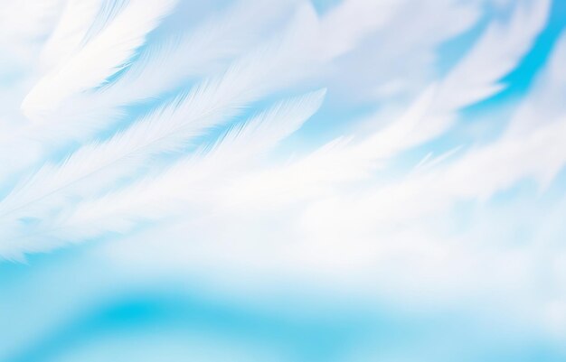 Photo abstract light color soft feather blur bokeh style background