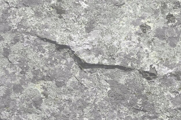 사진 추상적인 밝은 회색 바위 현실적인 레트로 빈티지 자연 물결 미래의 대리석 텍스처