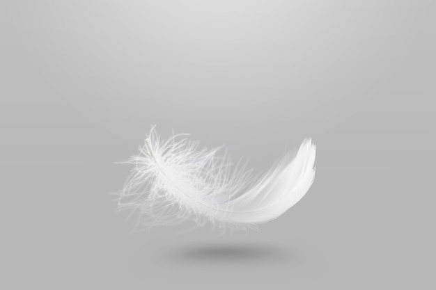 Abstract Lightly White Fluffy Feather Falling in The Air