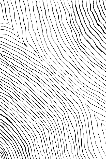 Abstract line art texture minimalist line art black and white line drawing art curved stripes