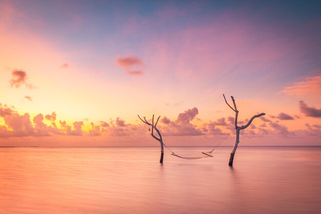 Abstract long exposure water and sky tree branches with swing or hammock Amazing lagoon island