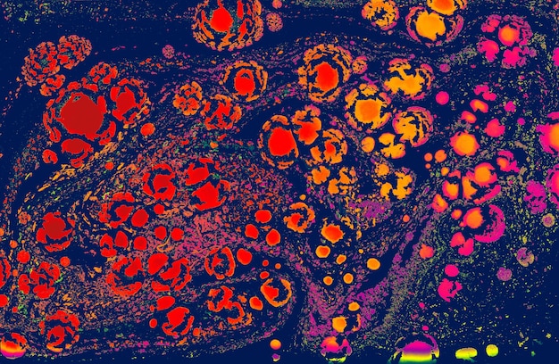 Абстрактная текстура мраморного цветочного узора Традиционное искусство Эбру marblingxA
