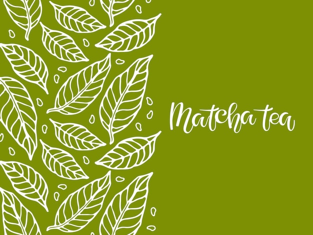 Photo abstract matcha green tea background with white leaves sketch and handwritten calligraphy lettering