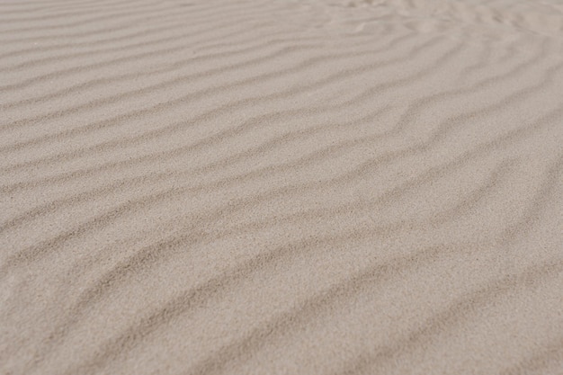 Abstract minimal hot summer vacation texture Closeup view of beach or desert dune sand waves Aesthetic neutral colour nature landscape